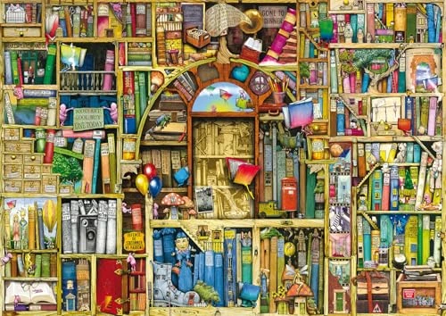 Bibliothèque bizarre — 1000 pièces — visuel de la référence